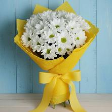 Букет цветов из:  Хризантемы в Анциферово Новгородская область