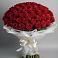 Букет 101 Красная роза Блэк Мэджик в Анциферово Новгородская область