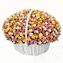 Премиум букет из: Розы #REPLACE_PRED# Анциферово Новгородская область