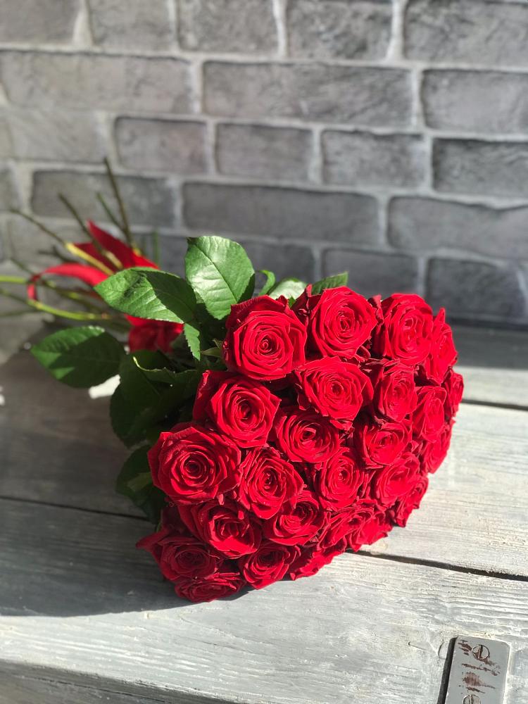 Букет Красные розы Фридом в Анциферово Новгородская область