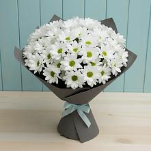 Букет цветов из:  Хризантемы в Анциферово Новгородская область