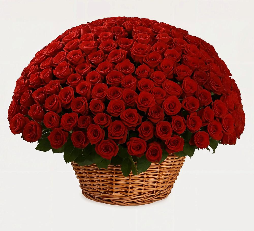 Премиум букет из: Розы в Анциферово Новгородская область