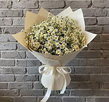Букет цветов из:  Ромашки #REPLACE_PRED# Анциферово Новгородская область
