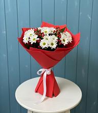 Букет цветов из:  Хризантемы в Анциферово Новгородская область