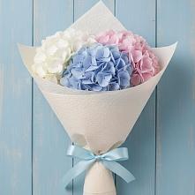 Букет цветов из:  Гортензия в Анциферово Новгородская область