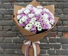 Букет цветов из:  Хризантемы в Анциферово Новгородская область