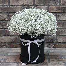 Цветочная композиция из Гипсофила в шляпной коробке в Анциферово Новгородская область