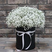 Цветочная композиция из Гипсофила в шляпной коробке в Анциферово Новгородская область
