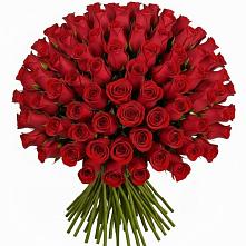 Букет Красные розы Чери Лав #REPLACE_PRED# Анциферово Новгородская область