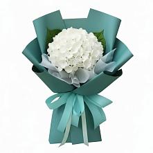 Букет цветов из:  Гортензия #REPLACE_PRED# Анциферово Новгородская область